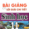 Bài Giảng Và Lời Giải Chi Tiết Sinh Học 11