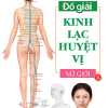 Đồ Giải Kinh Lạc Huyệt Vị - Nữ Giới