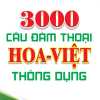 3000 Câu Đàm Thoại Hoa - Việt Thông Dụng