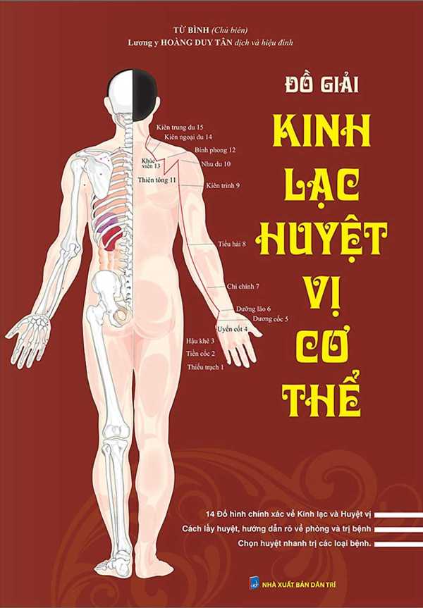 Đồ Giải Kinh Lạc Huyệt Vị Cơ Thể