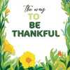 The Way To Be Thankful