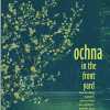 ochna-in-the-front-yard-fascinating-stories-about-hue-an-ancient-poetic-and-glamorous-land.