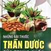 Những Bài Thuốc Thần Dược Của Trung Quốc